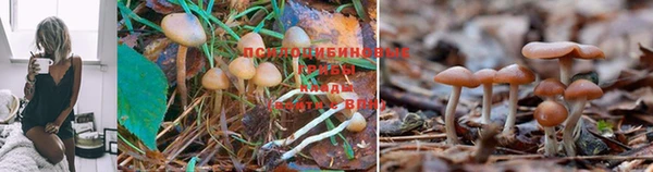 МДМА Карталы